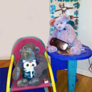 Meet my top notch staff: Two bears and a one-eyed monkey