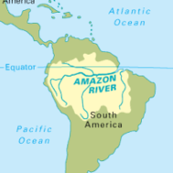 Amazon is not just a river